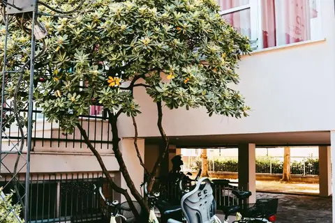 Hotel Paglierani in San Mauro Pascoli — foto 10