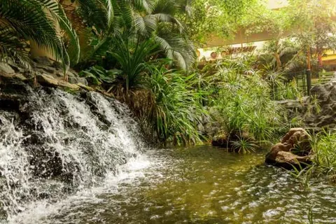 Center Parcs Hochsauerland foto 39