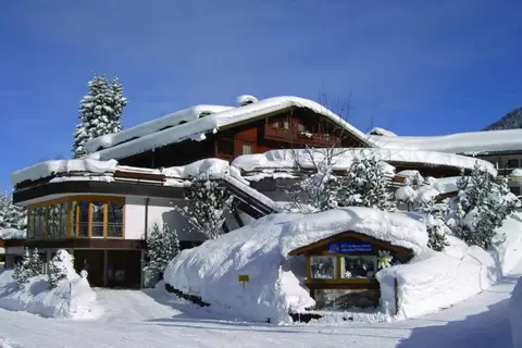 IFA Alpenhof Wildental - Adults only in Mittelberg