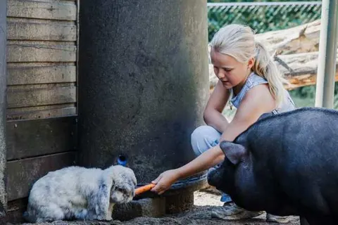 Camping Siësta foto 19