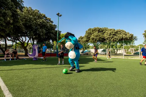 Camping Strasko foto 20