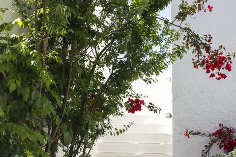 Naxos Holidays Hotel in Naxos — foto 19