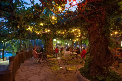 Camping La Baume-la Palmeraie foto 15