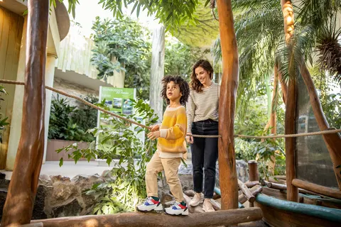 Center Parcs Park De Haan foto 7