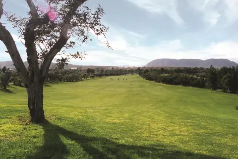 El Plantio Golf Resort in Alicante — foto 24