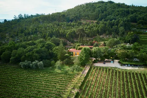 Quinta da Bouca d'Arques in Viana do Castelo — foto 7