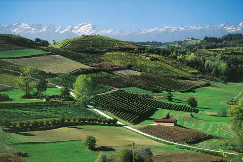 Castello Di Montaldo in Montaldo Torinese, foto 27