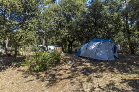 Flower Camping Monplaisir in Saint-Trojan-les-Bains — foto 15