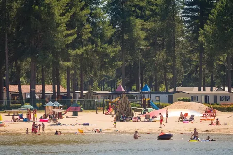 Camping Tulderheyde foto 6