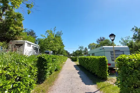 Camping Mare Pineta in Duino Aurisina / Devin - Nabrežina — foto 11