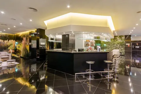 Olissippo Marques De Sa foto 1