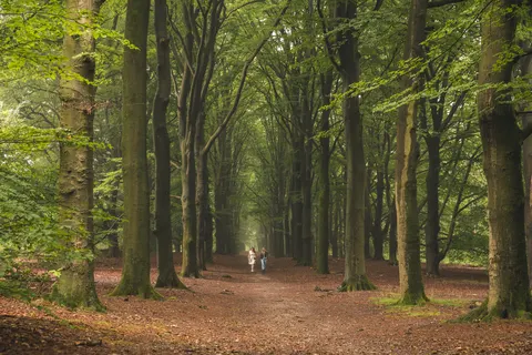 Marinapark Bad Nederrijn foto 12