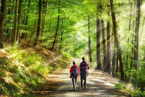 Boutique Hotel Nieuw Beusink foto 26