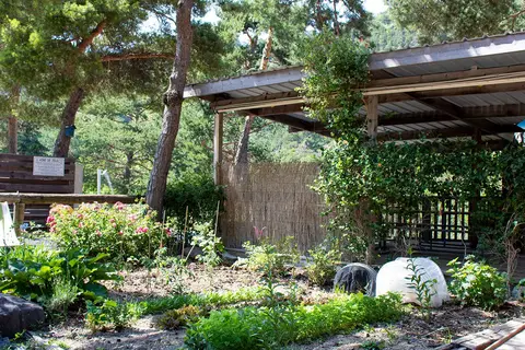 Camping River in Méolans-Revel — foto 14