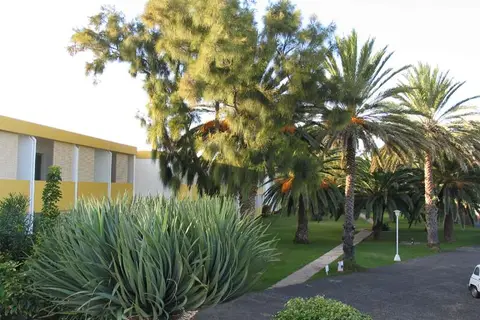 Porto Santo Hotel & Spa in Vila Baleira, Porto Santo — foto 12