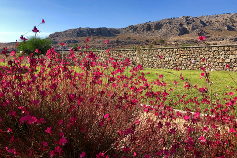 Estrella Villas foto 10