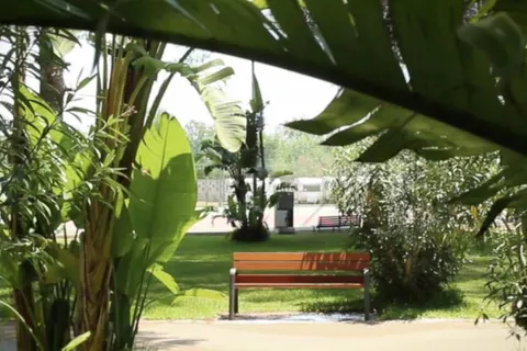 Camping La Vecchia Torre foto 9