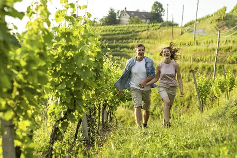 Camping Terme Ptuj foto 17