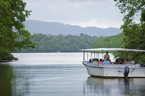 The Iconic Australia Experience foto 3