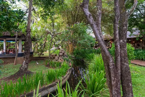 Siddhalepa Ayurveda in Wadduwa, foto 6