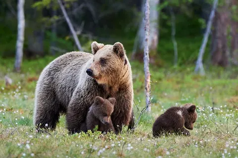 18-daagse rondreis Spectaculair West-Canada foto 2