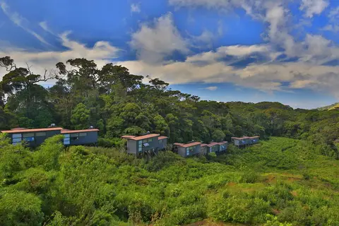 Rainforest Eco Lodge in Rainforest Ecolodge — foto 16