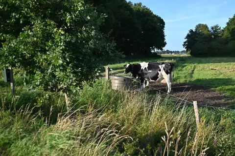 Camping Hunze Bulten in Annen — foto 6