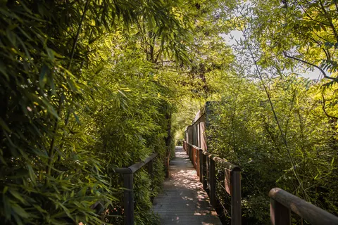 Camping Collection Rivages Rives D Arc foto 7