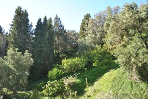 Helios Splendid in Δημοτική Ενότητα Κορισσίων — foto 10