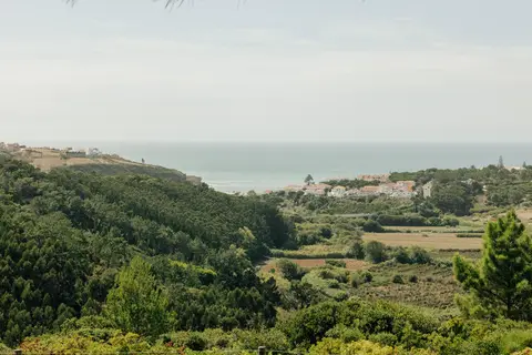 Quinta dos Raposeiros in Mafra, foto 8