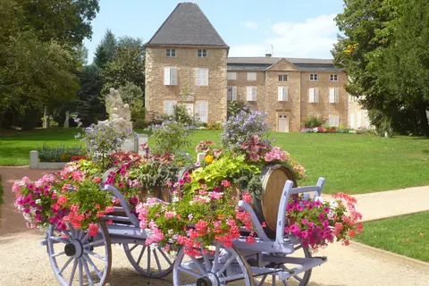 Camping La Grappe Fleurie foto 19