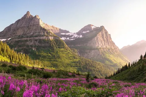 Experience the pristine Northwest foto 1