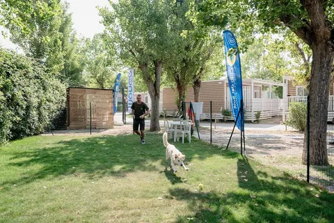 Le Mimose Family Resort foto 23