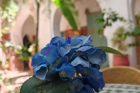 Hotel Riad Dar Bounouar in Marrakech — foto 28