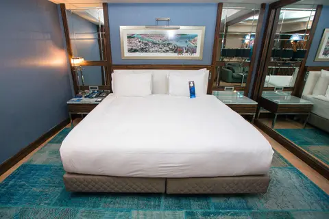 Radisson Blu Hotel, Istanbul Pera in Fatih — foto 23