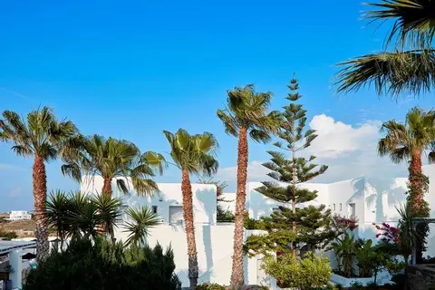 Mr & Mrs White Paros in Νάουσα — foto 18