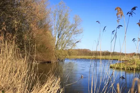 Postillion Hotel Dordrecht foto 19