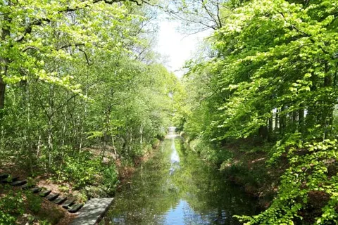 Recreatiepark de Bosrand foto 13