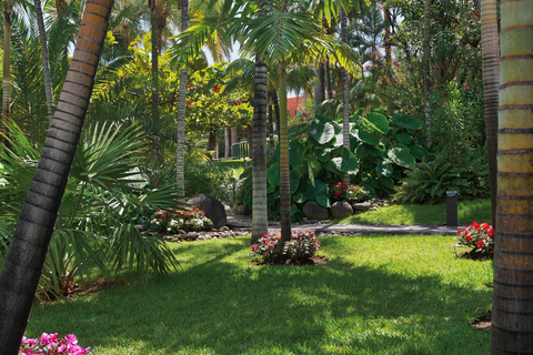 Appartementen Hacienda San Jorge foto 16