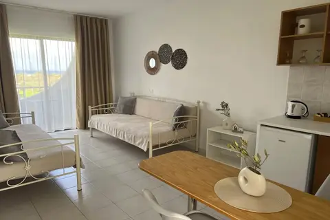 Ivory Hotel in Θεολόγος — foto 13