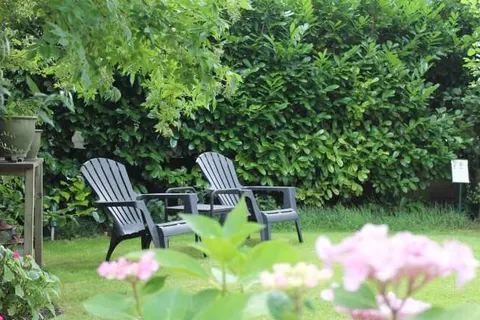 B&B Kunstkamer Franeker foto 19