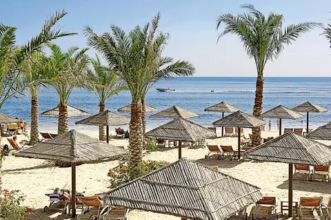 Miramar Al Aqah Beach Resort in Al Aqah, foto 12