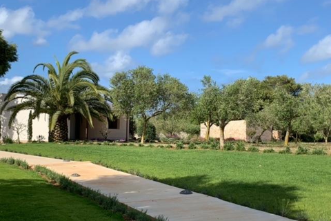 Malbuger Nou Agroturismo foto 8