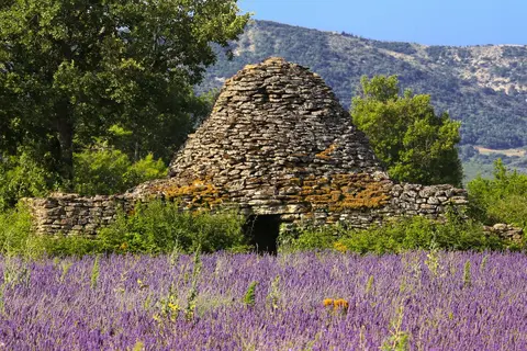 Les Chênes Blancs in Saint-Saturnin-lès-Apt — foto 21