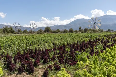 Kreta op het gemak in Griekse eilanden — foto 6