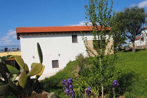 Quinta Vale Porcacho in Tábua — foto 11