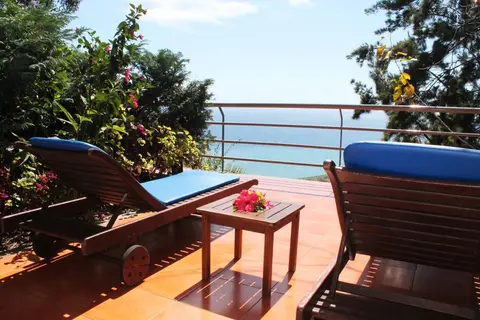 Casa do Papagaio Verde in Funchal — foto 7