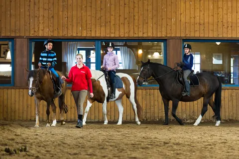 Südsee-camp foto 15