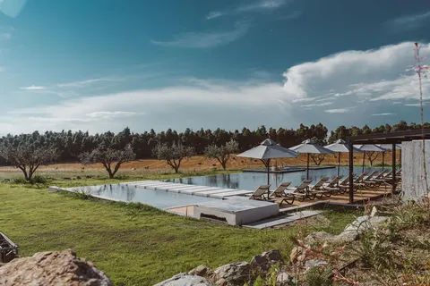 Sani Verde in Kassandra Municipal Unit — foto 14