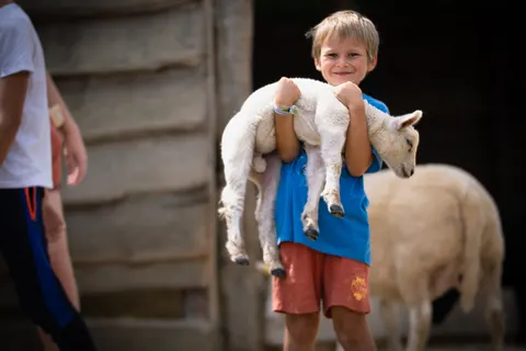 Camping Ferme Pédagogique De Prunay foto 7